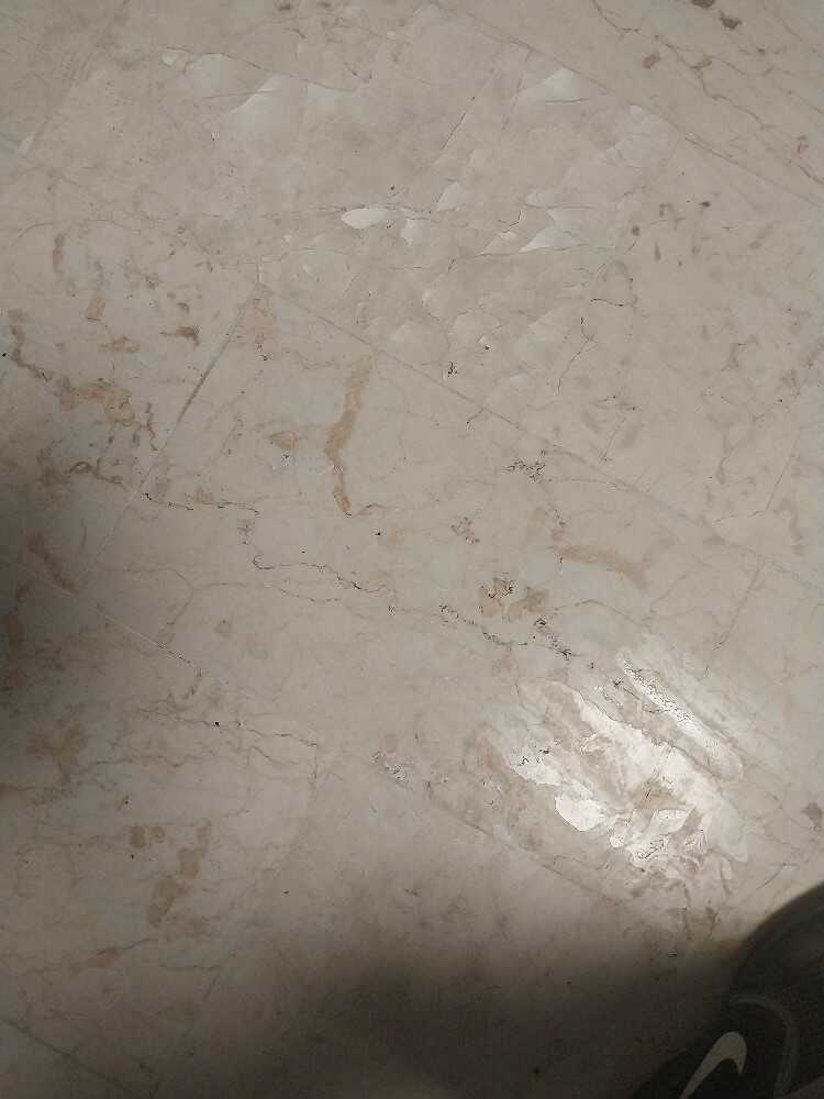 شرکت زیبا گستران ماندانا