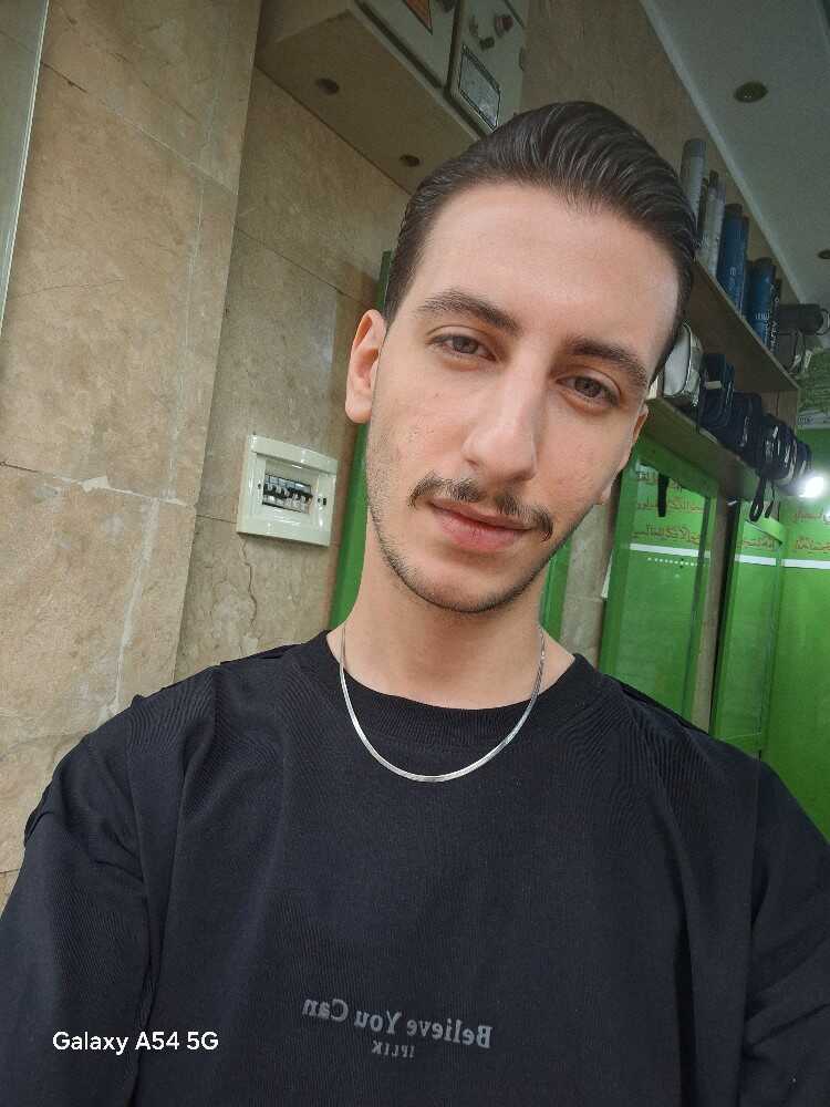 حسین محمودی