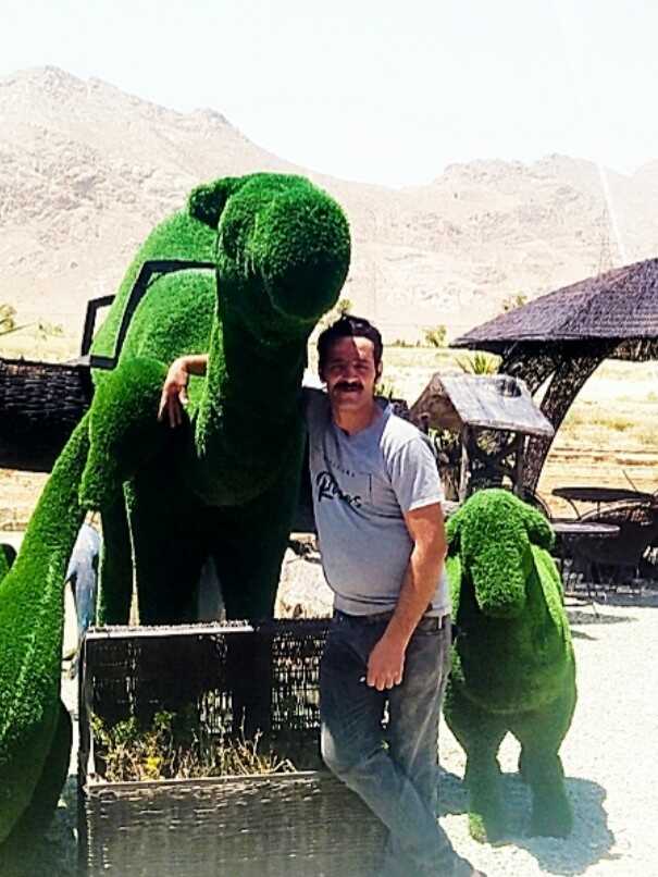 سید احمد موسوی وردنجانی