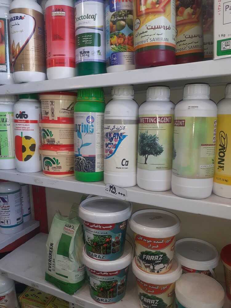 علی جمشیدی