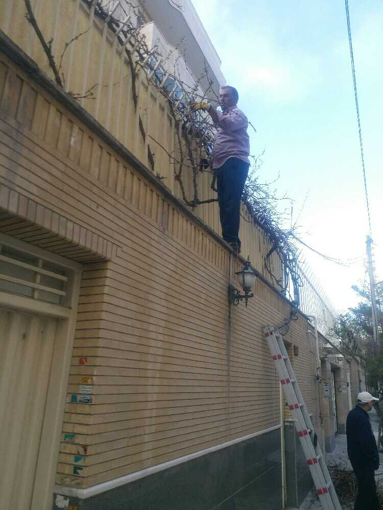 رحمان پور محمد
