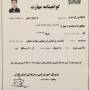 رضا بیات