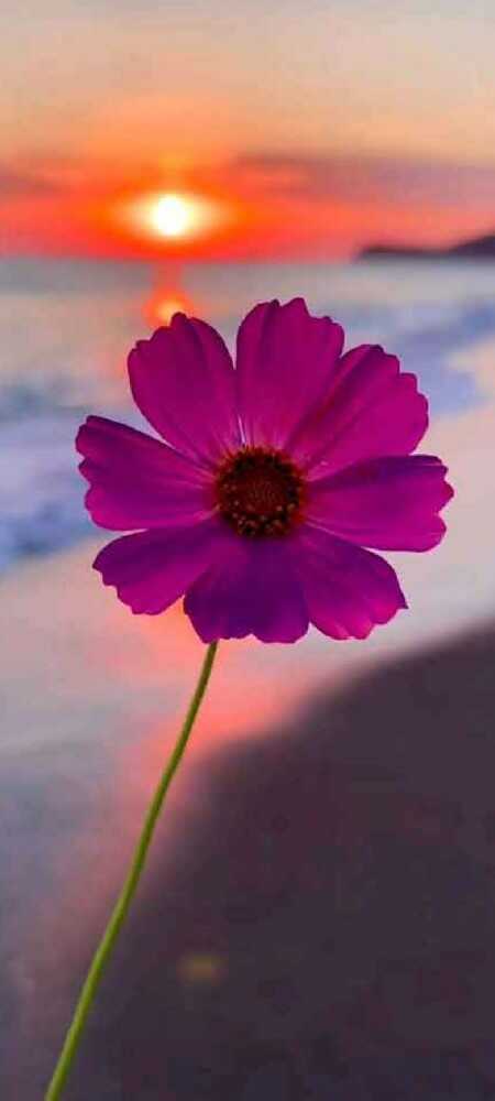 provider user card avatar