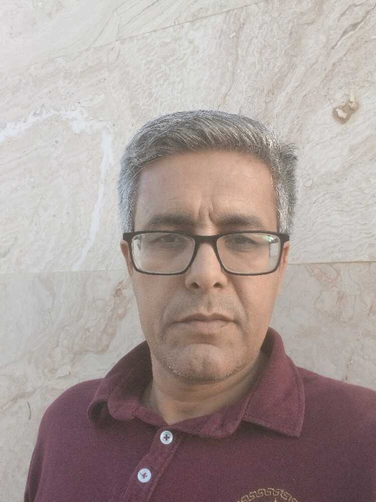 محمود عامری