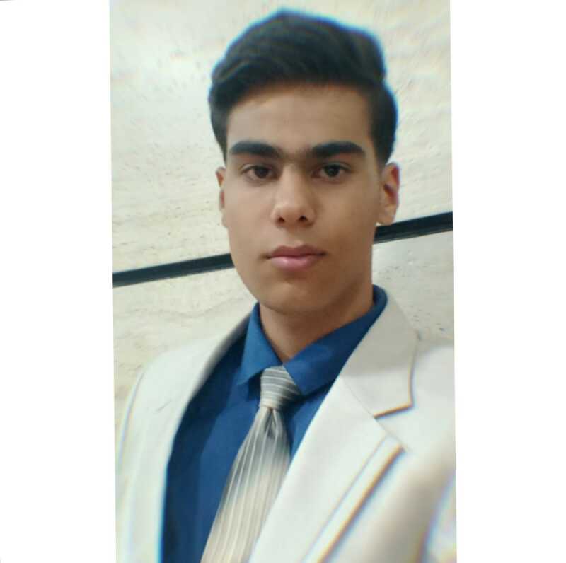 محمد مهدی ولی زاده