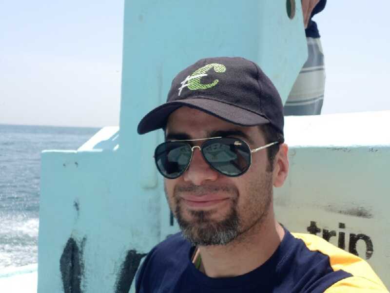 وحید عدالتی کیا