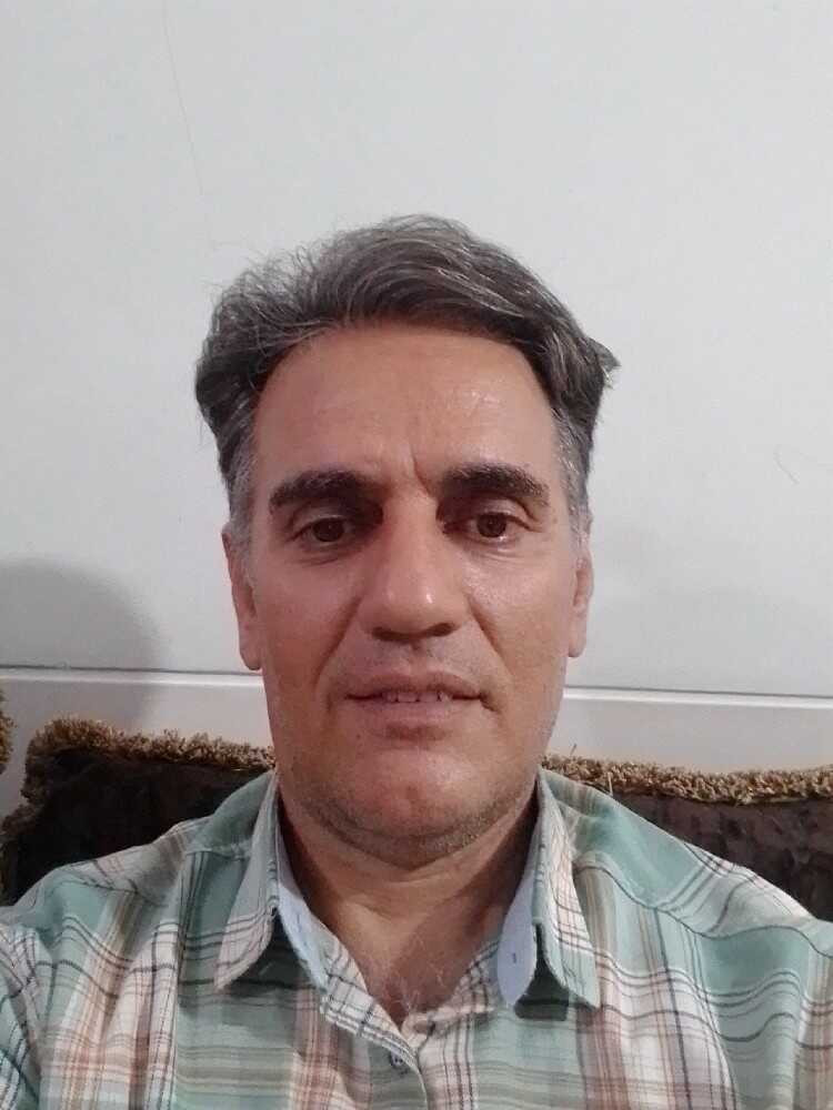 رضا محمدی
