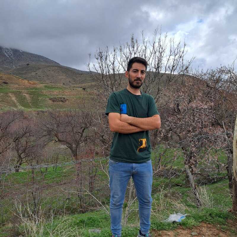 وحید برهانی