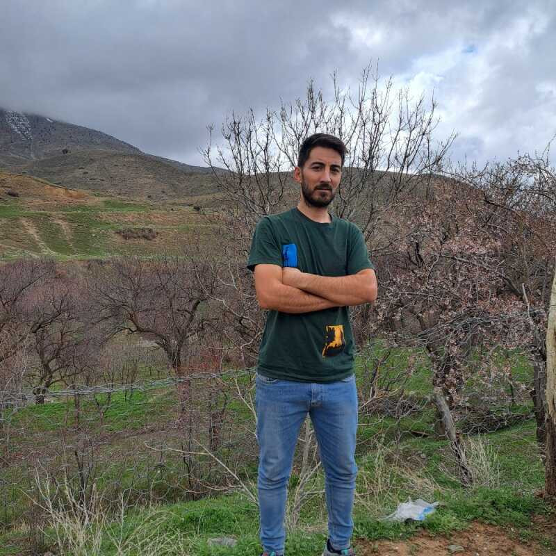 وحید برهانی