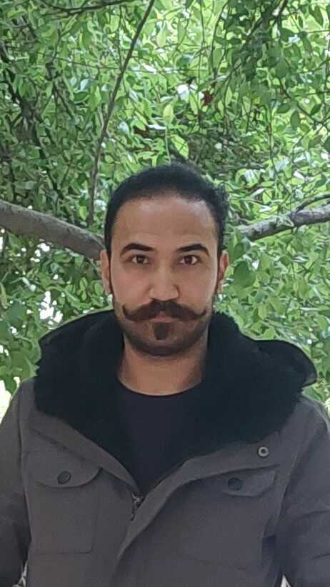 میلاد شاهی