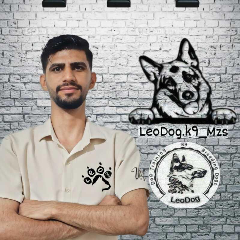 مرتضی شکری