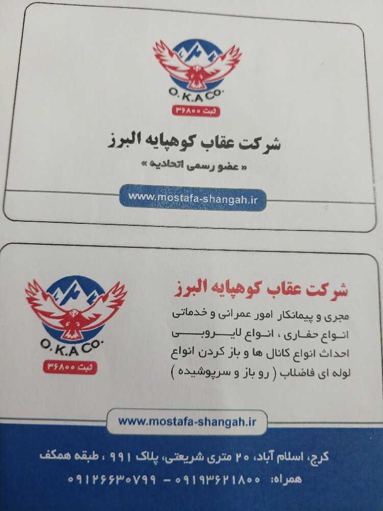 عقاب کوهپایه البرز