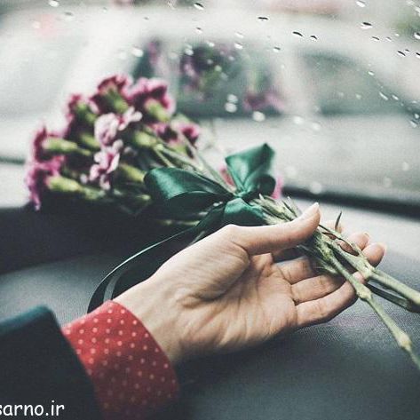 ساره فهیمی