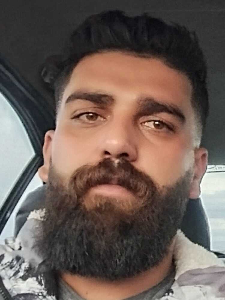 سید محمود علوی