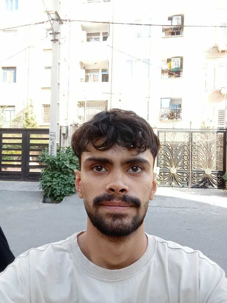علیرضا ارجونی
