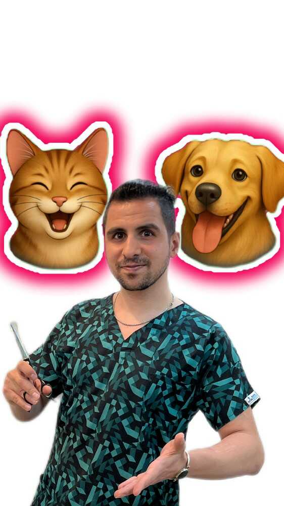 امیررضا بیات