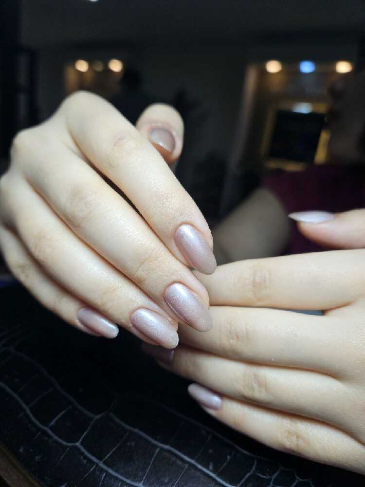 پرستو فنودی