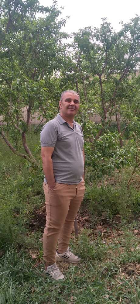 محمود محمدزاده