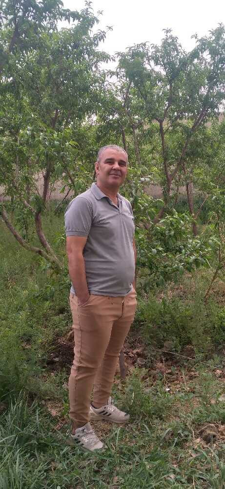 محمود محمدزاده