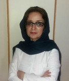 فیروزه ذوقی