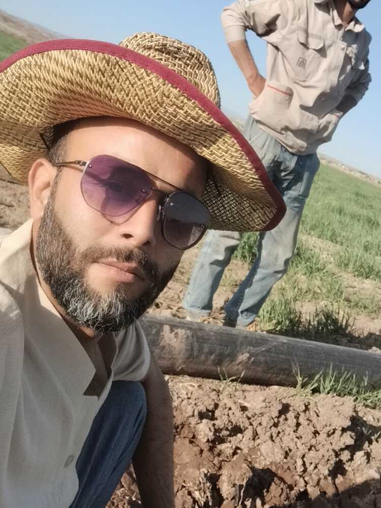 حمید معصومی کاریز