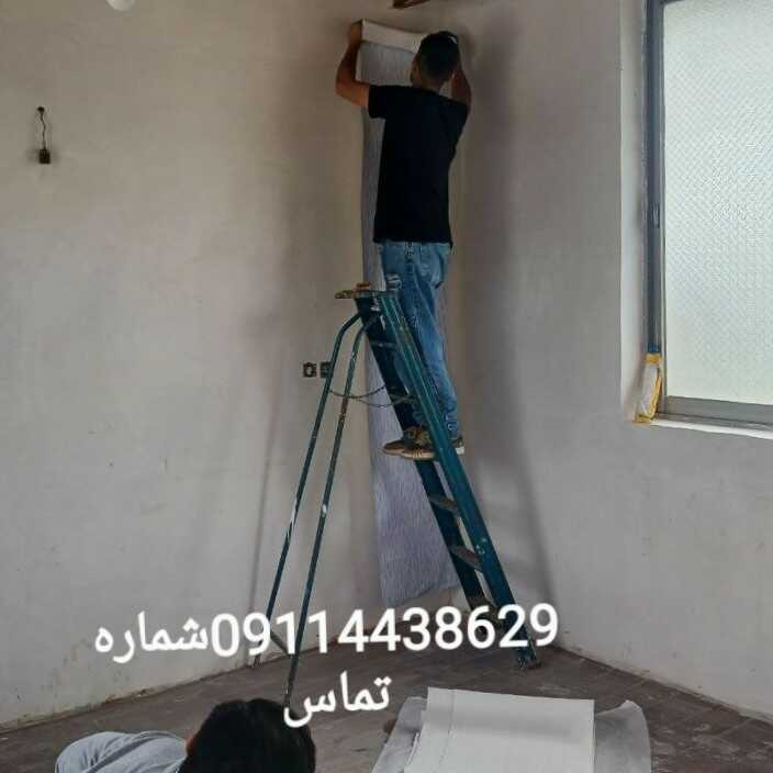 نعمان شجاع نیا