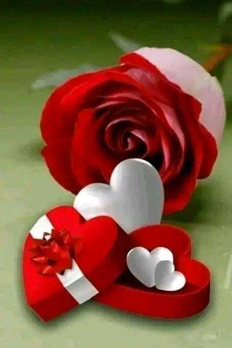 آذر بقایی