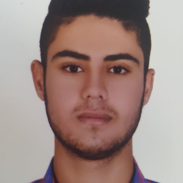 سید محمد میرمحمدی