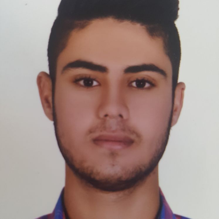 سید محمد میرمحمدی