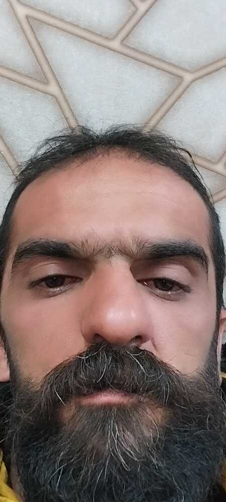 وحید فلاحتی