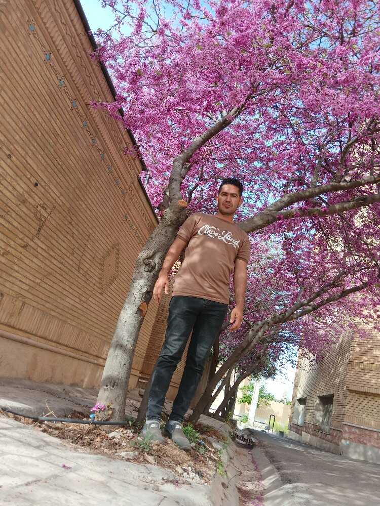 مجید رحمانی
