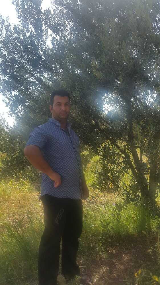 عباس شاطری