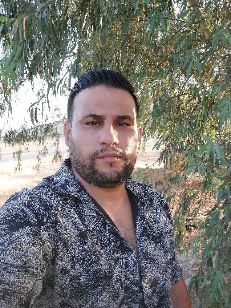 ساسان محمدی