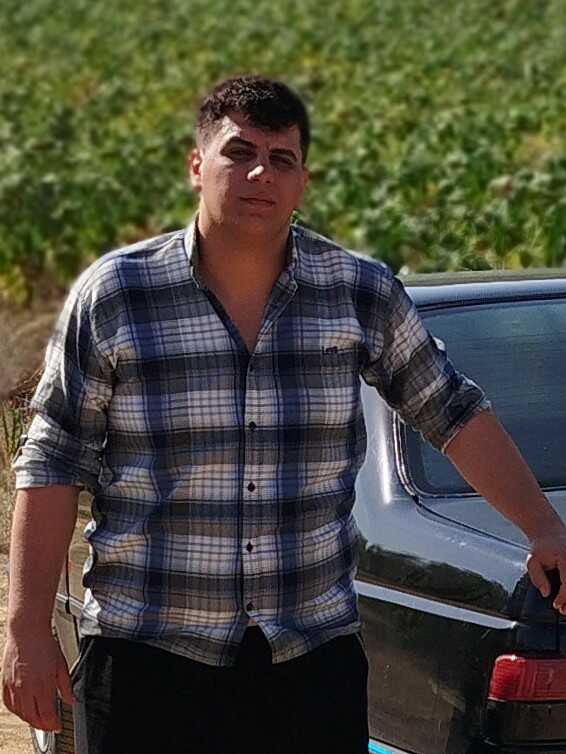 ارمان سبزی