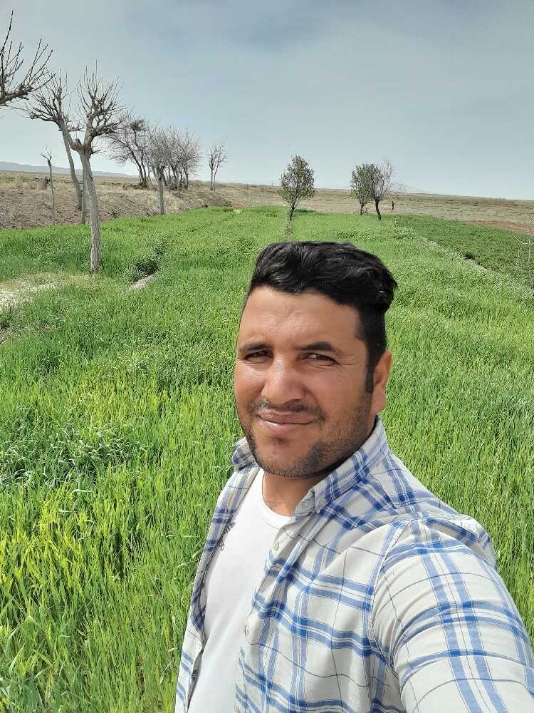 provider user card avatar