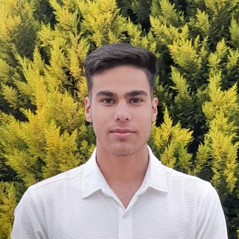 محمد مهدی ولی زاده