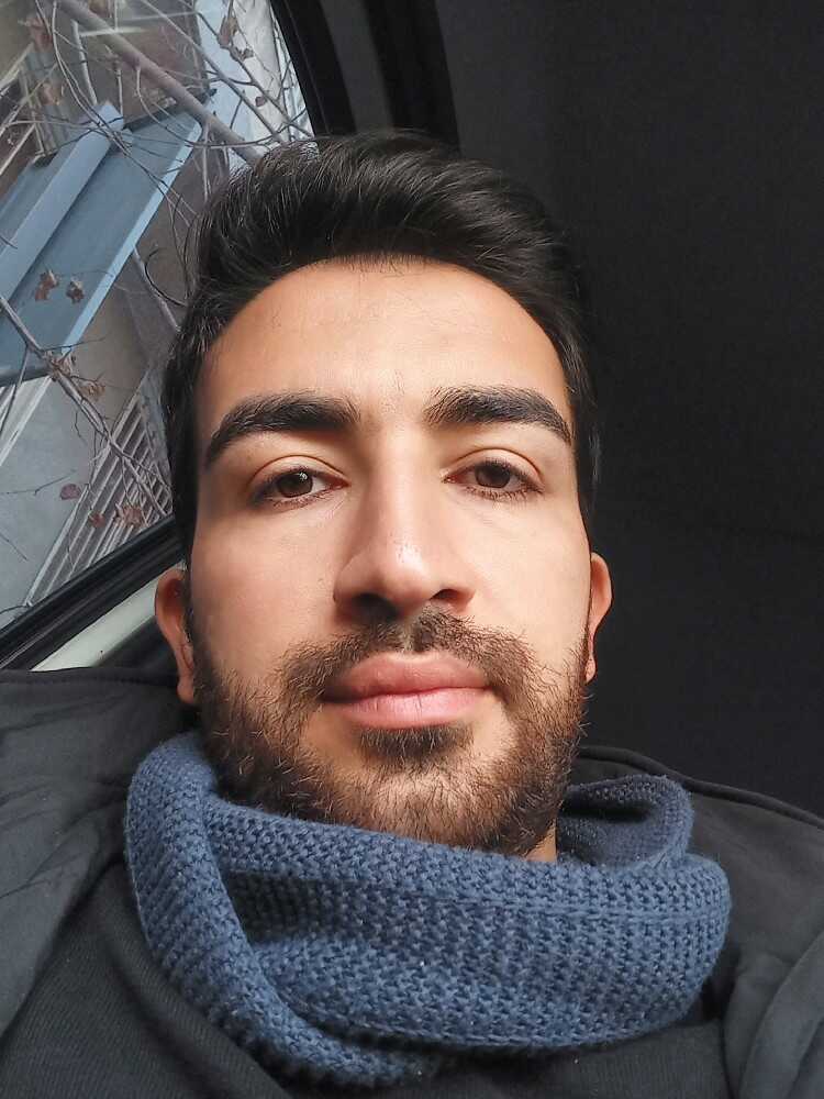 مجتبی نظیری