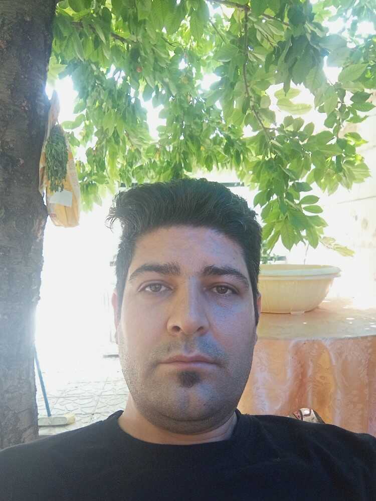سعید سعید