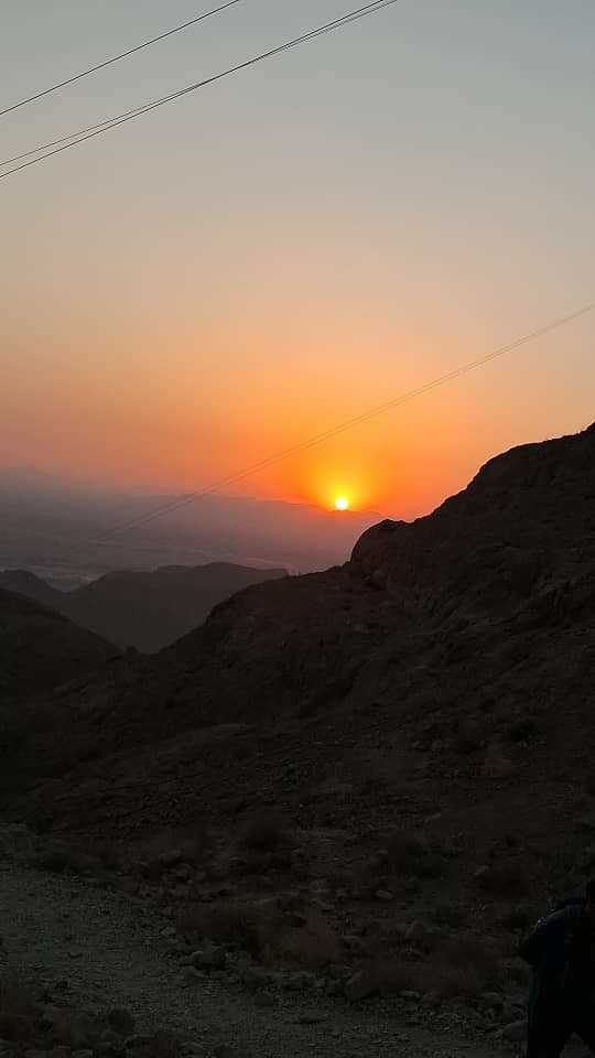 فریده مهدوی
