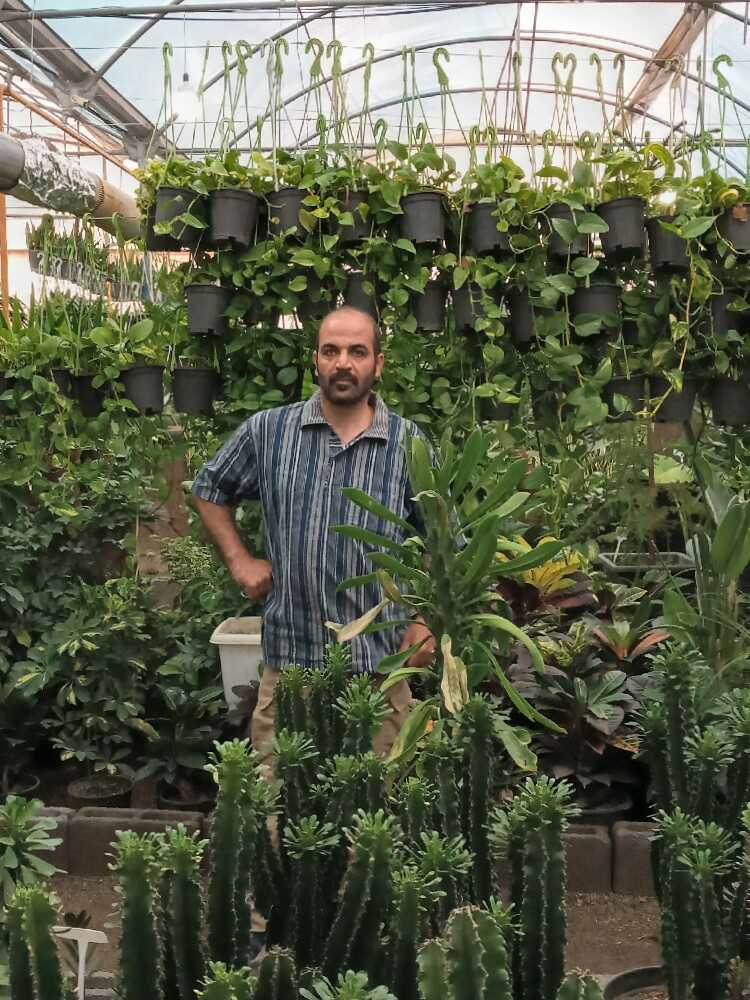 اسماعیل عسگری