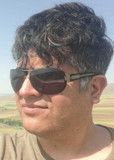 وحید افتاده