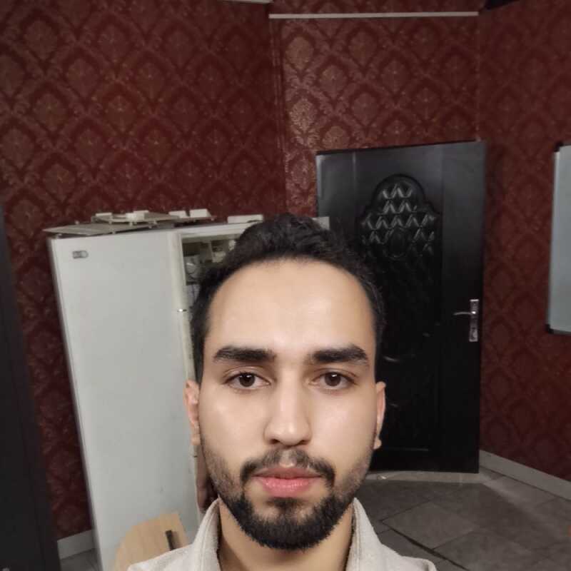 امیر میرزایی