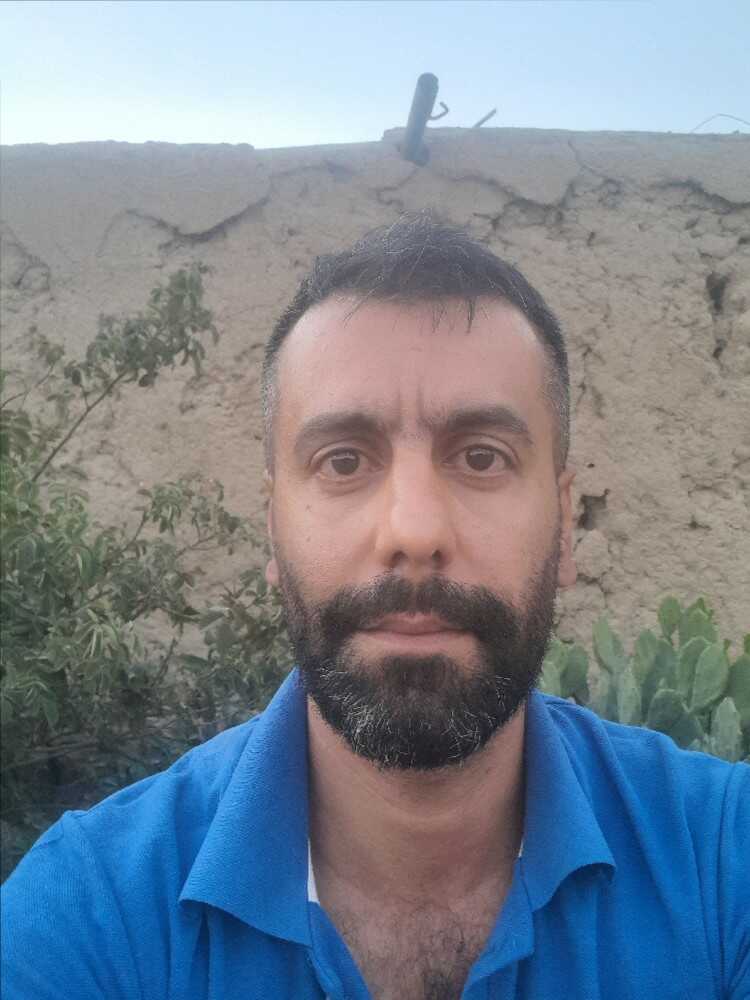 سعید حقانی