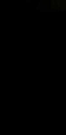 مجید ترابی