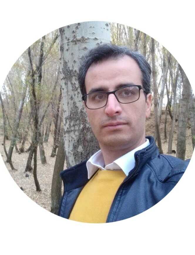 رضا نقوی