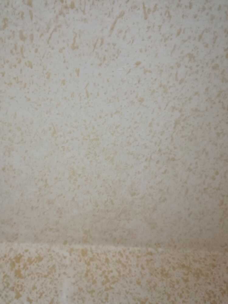 نرگس فیاضی