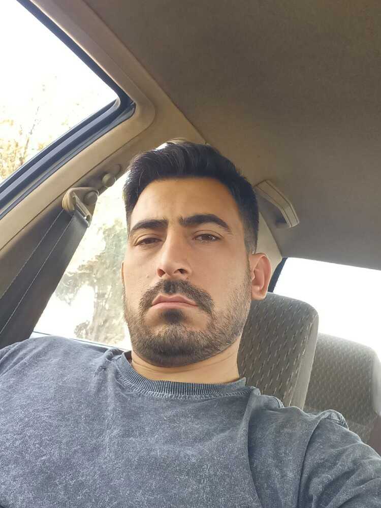 علی شمسی دانا