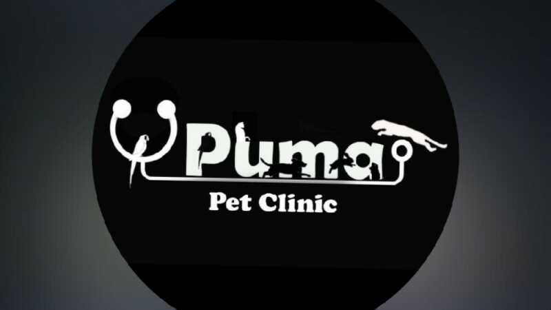 کلینیک دامپزشکی پوما