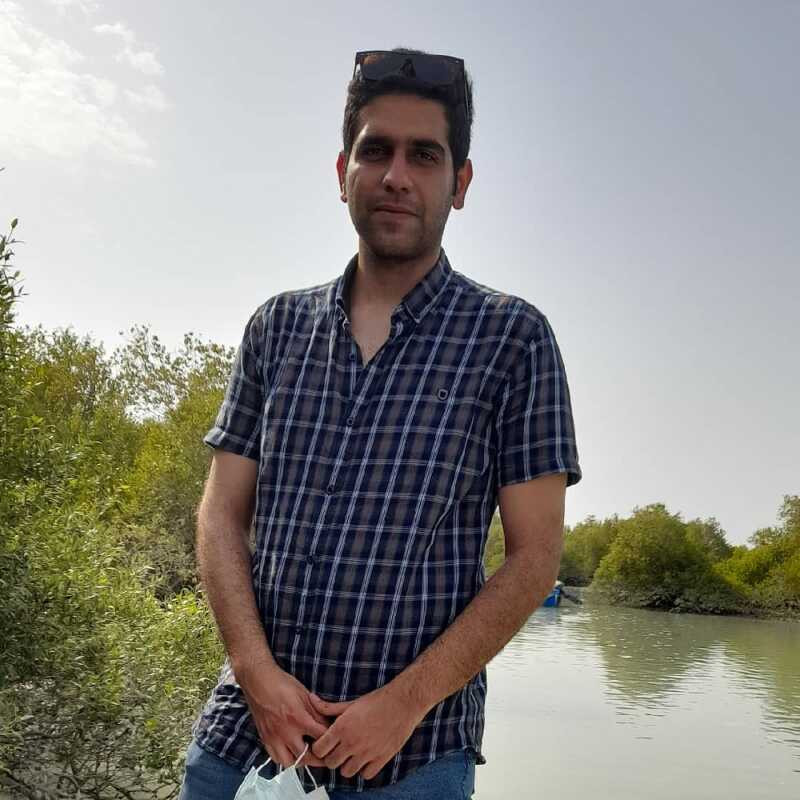 محمدحسین دالوند