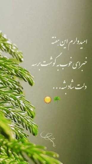 سعید رحمانی